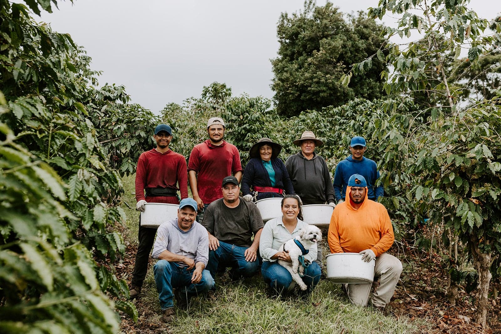 Misma Lani Farms 100% Kona by Chad Lou's Coffee
