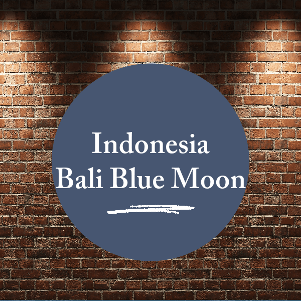 Indonesia Kintamani 12 oz by Sibling Coffee Roasters