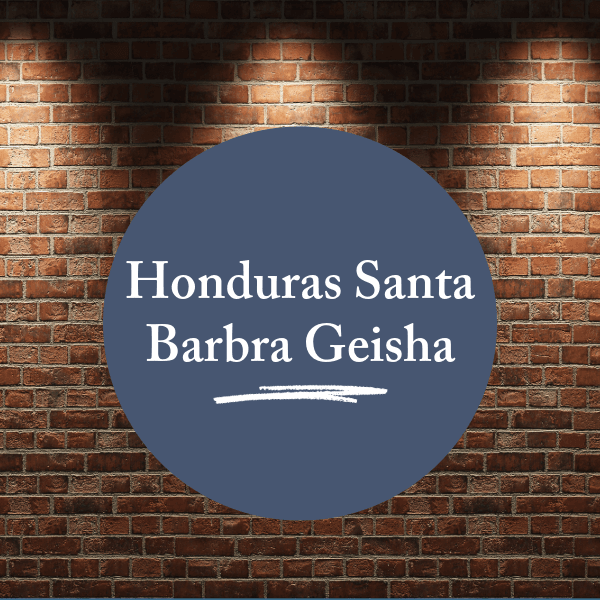 Honduras Santa Barbra Geisha 12 oz. by Sibling Coffee Roasters