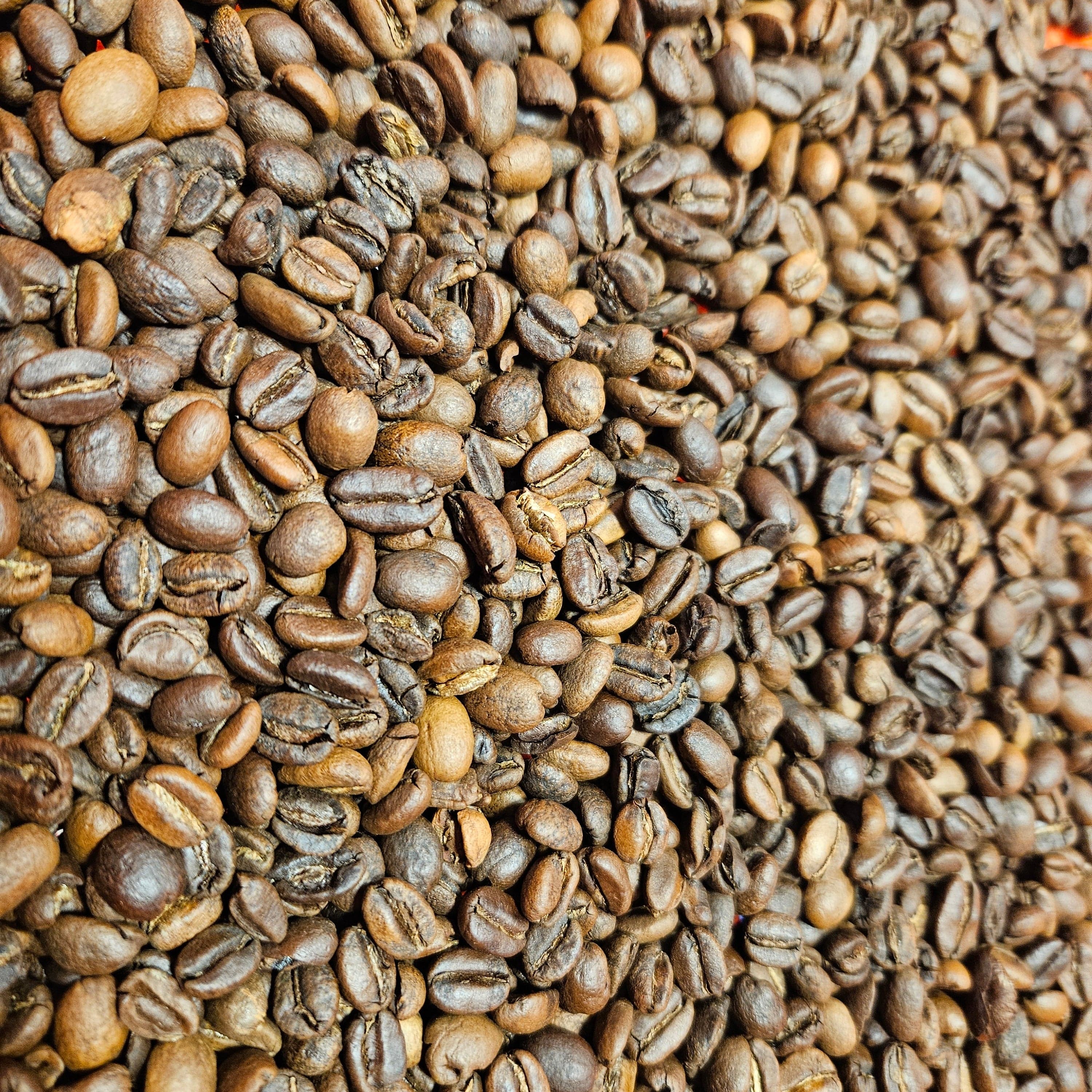 Wush Wush Guji by First Cast Coffee Roasters