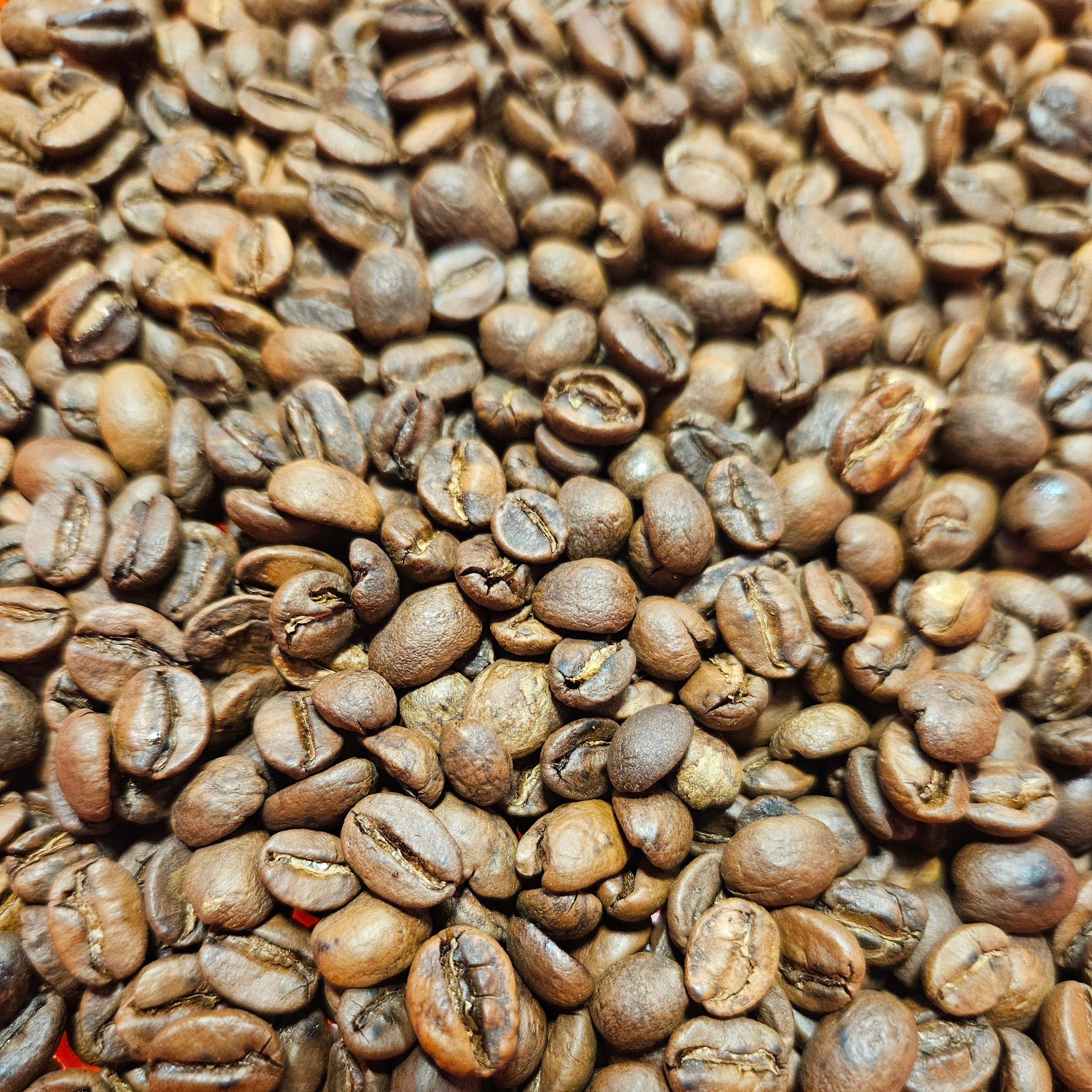 Ethiopia Harrar by First Cast Coffee Roasters