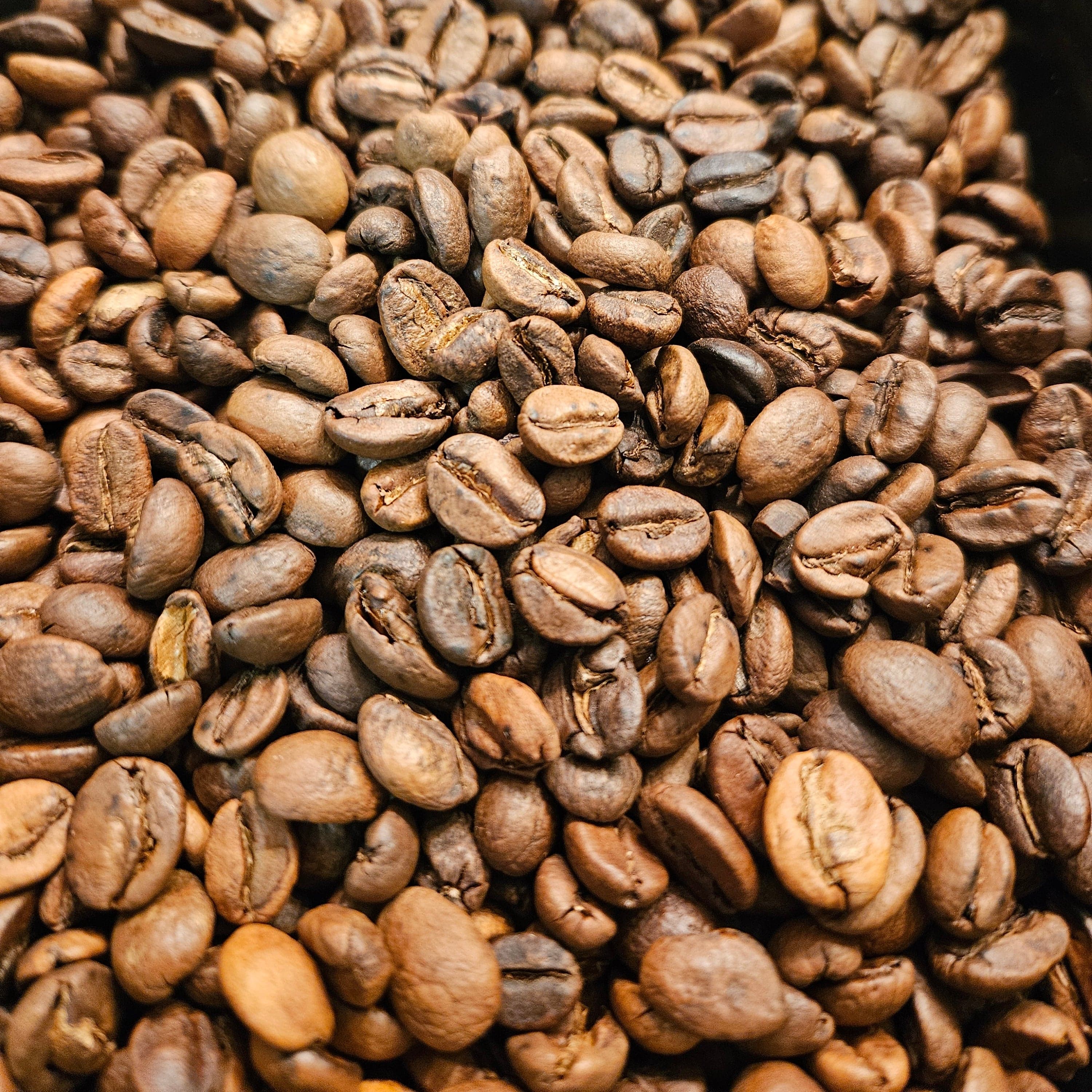 First Light Blend by First Cast Coffee Roasters