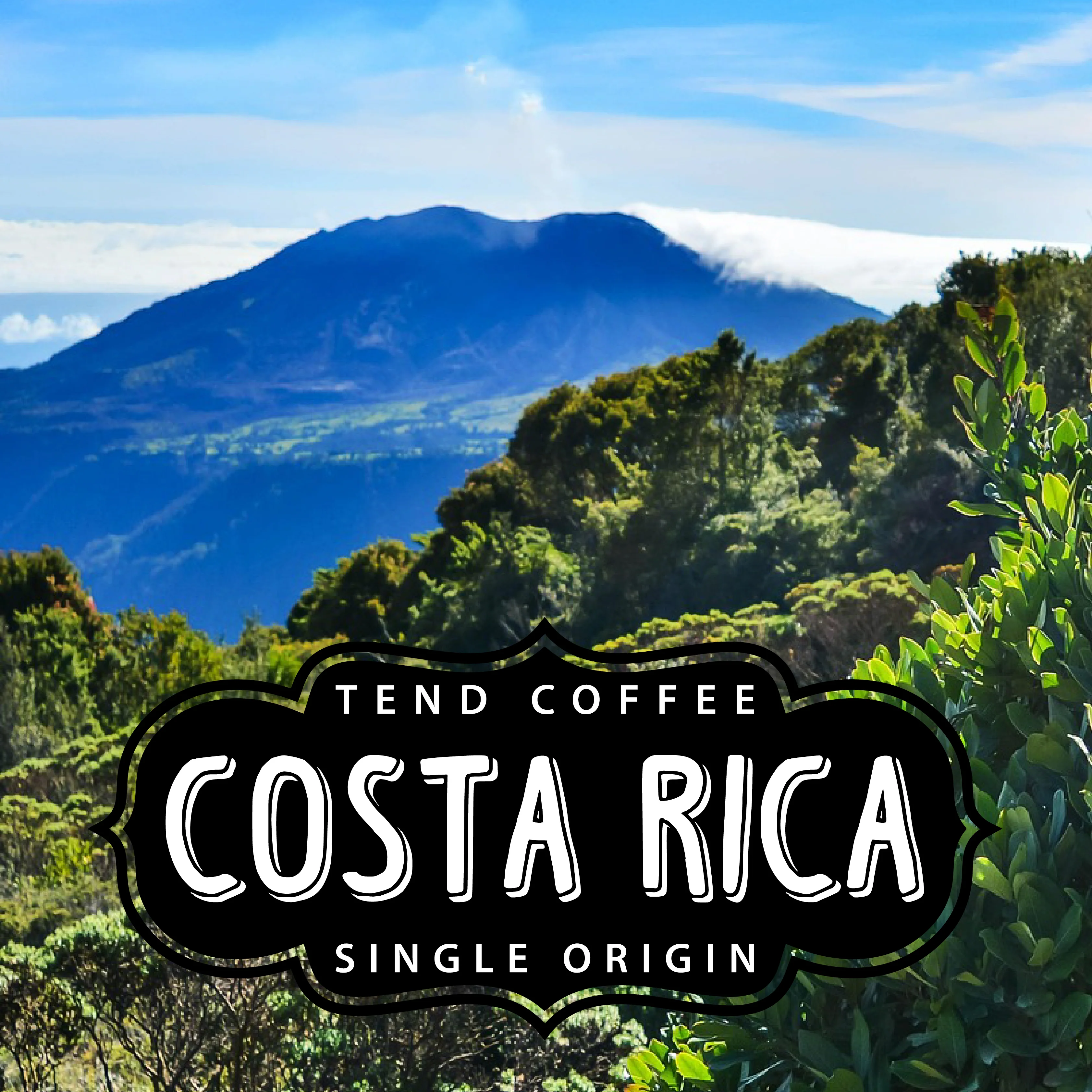 Organic Costa Rica, 1lb