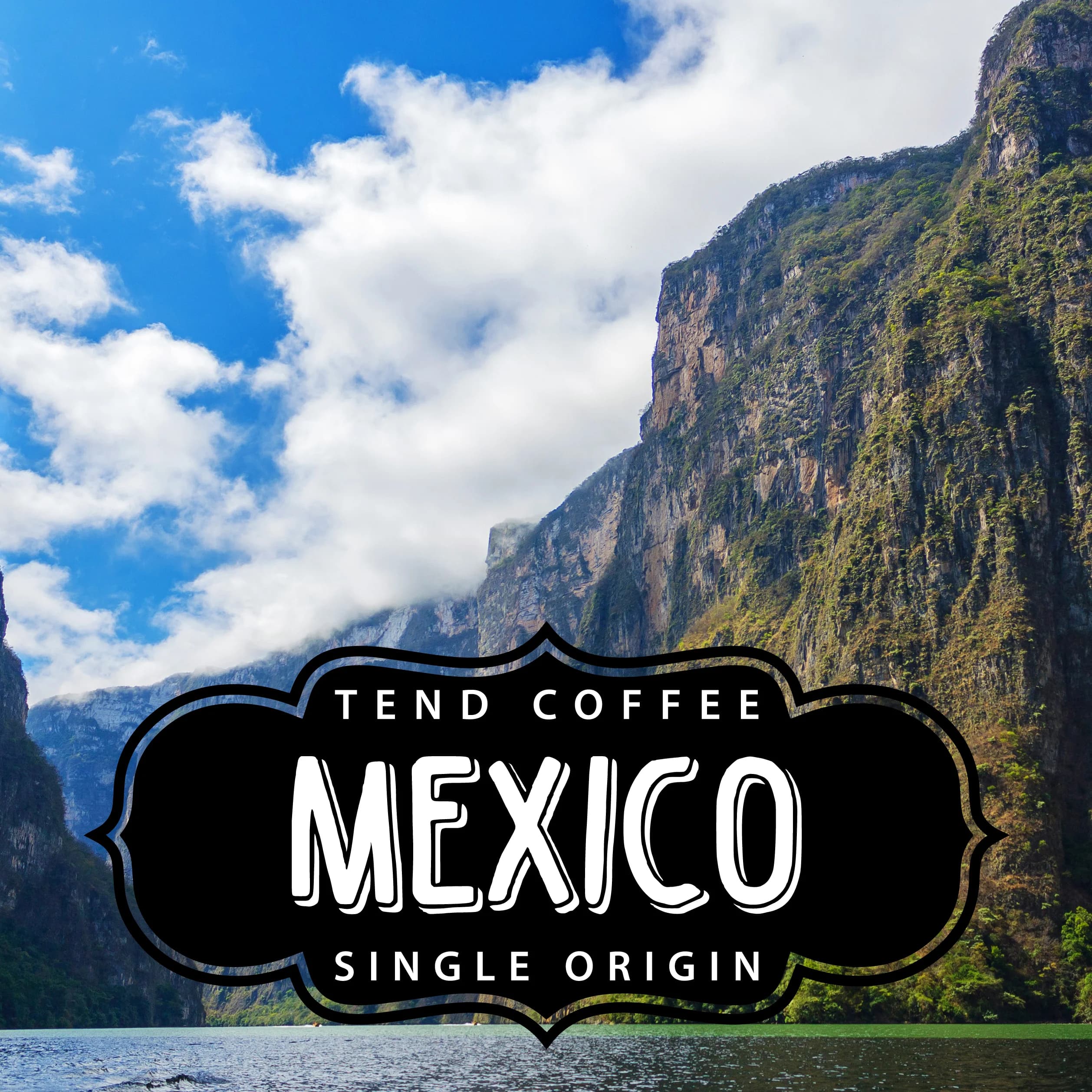 Organic Mexico, 1lb by Tend Coffee