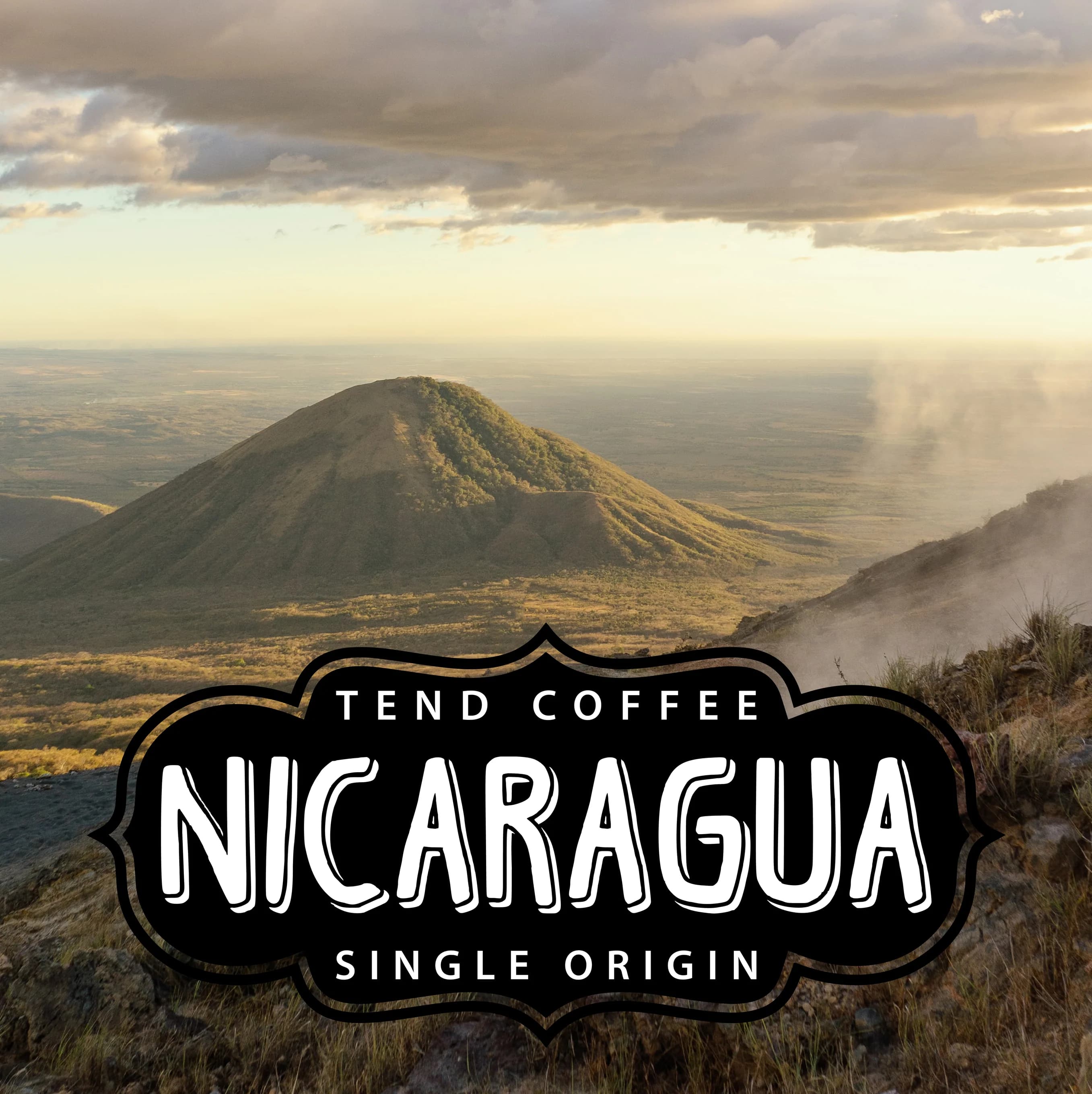 Organic Nicaragua, 1lb by Tend Coffee