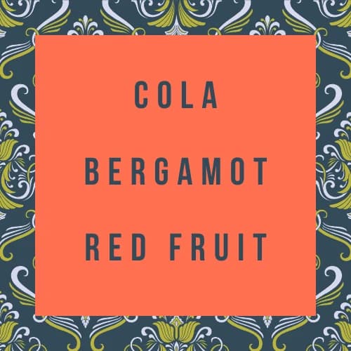 Red Bourbon DECAF by Gnosis Coffee Roasters