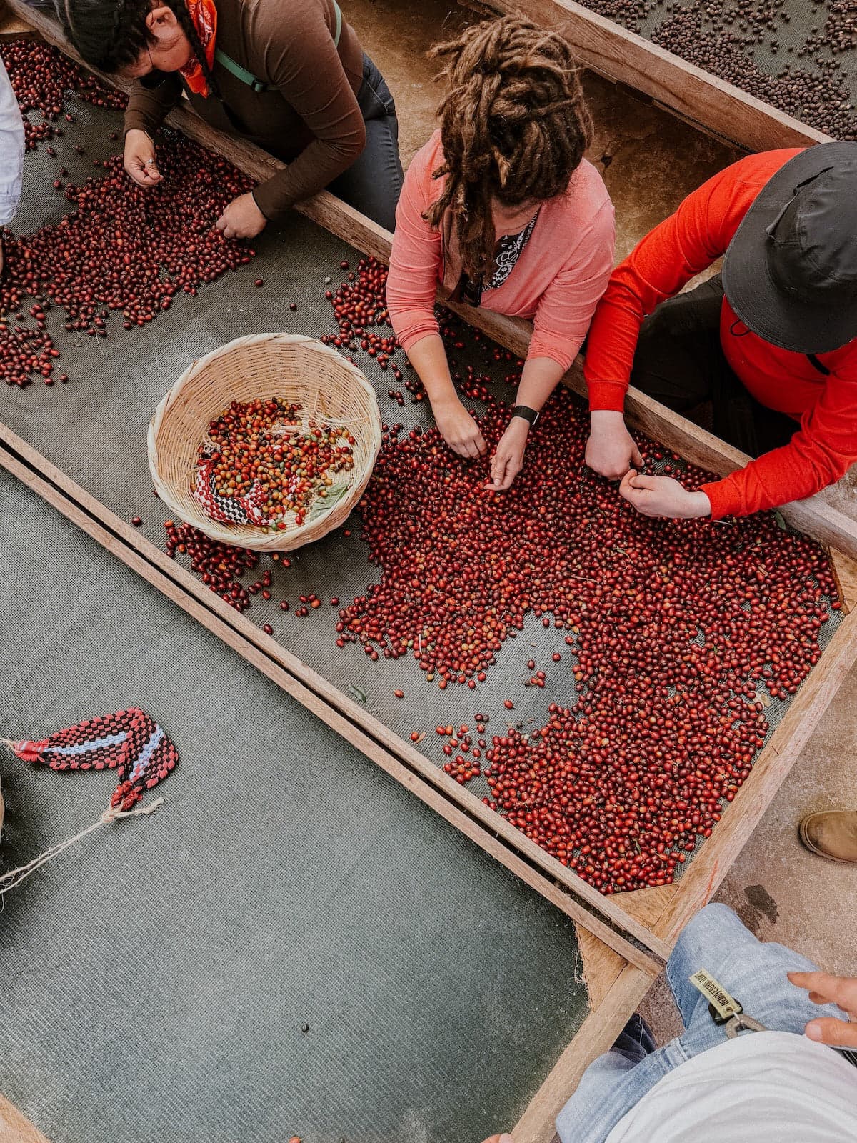 Novel Coffee Roasters photo 2