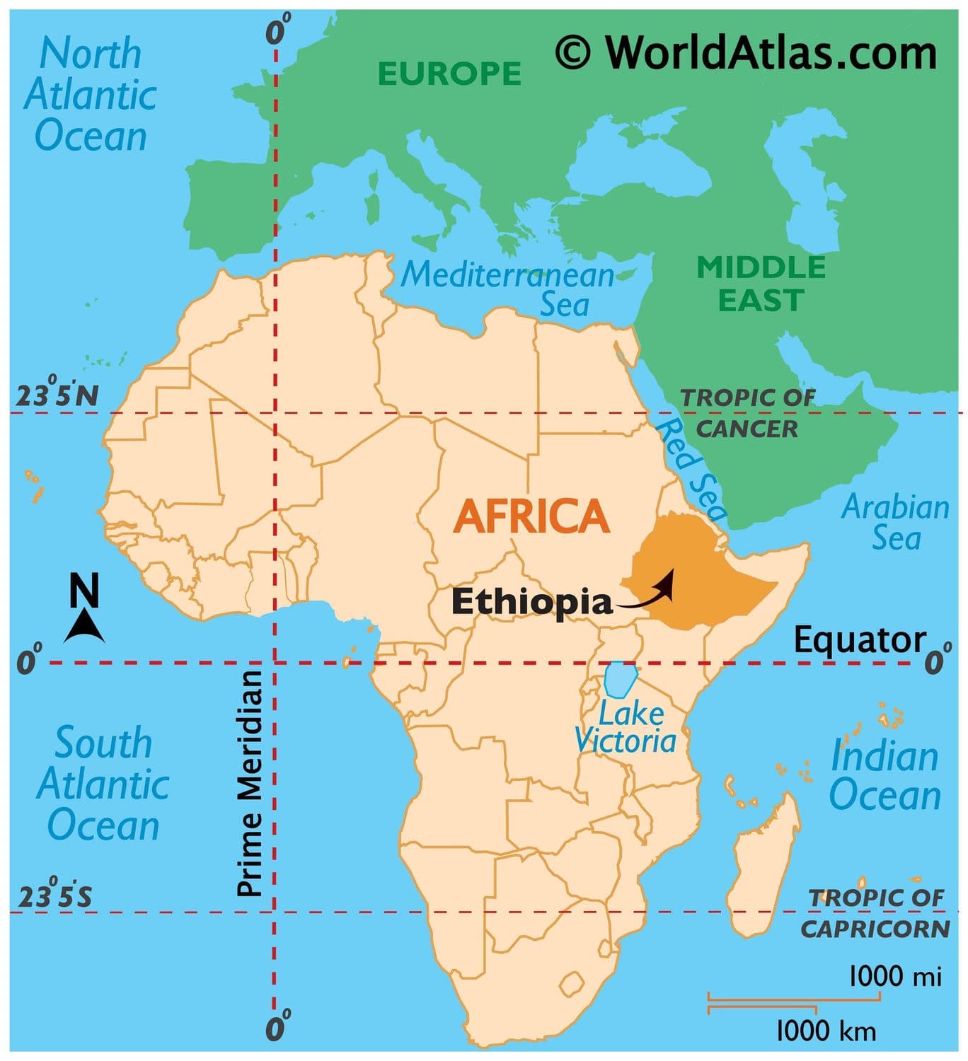 Ethiopia by The Coffey Co Coffee Roaster