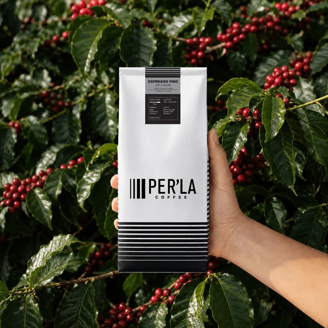 Per'La Specialty Roasters