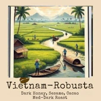 Vietnam Robusta by Bohemian Roastery