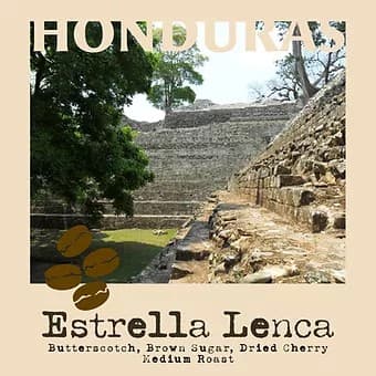 Honduras La Campa by Bohemian Roastery