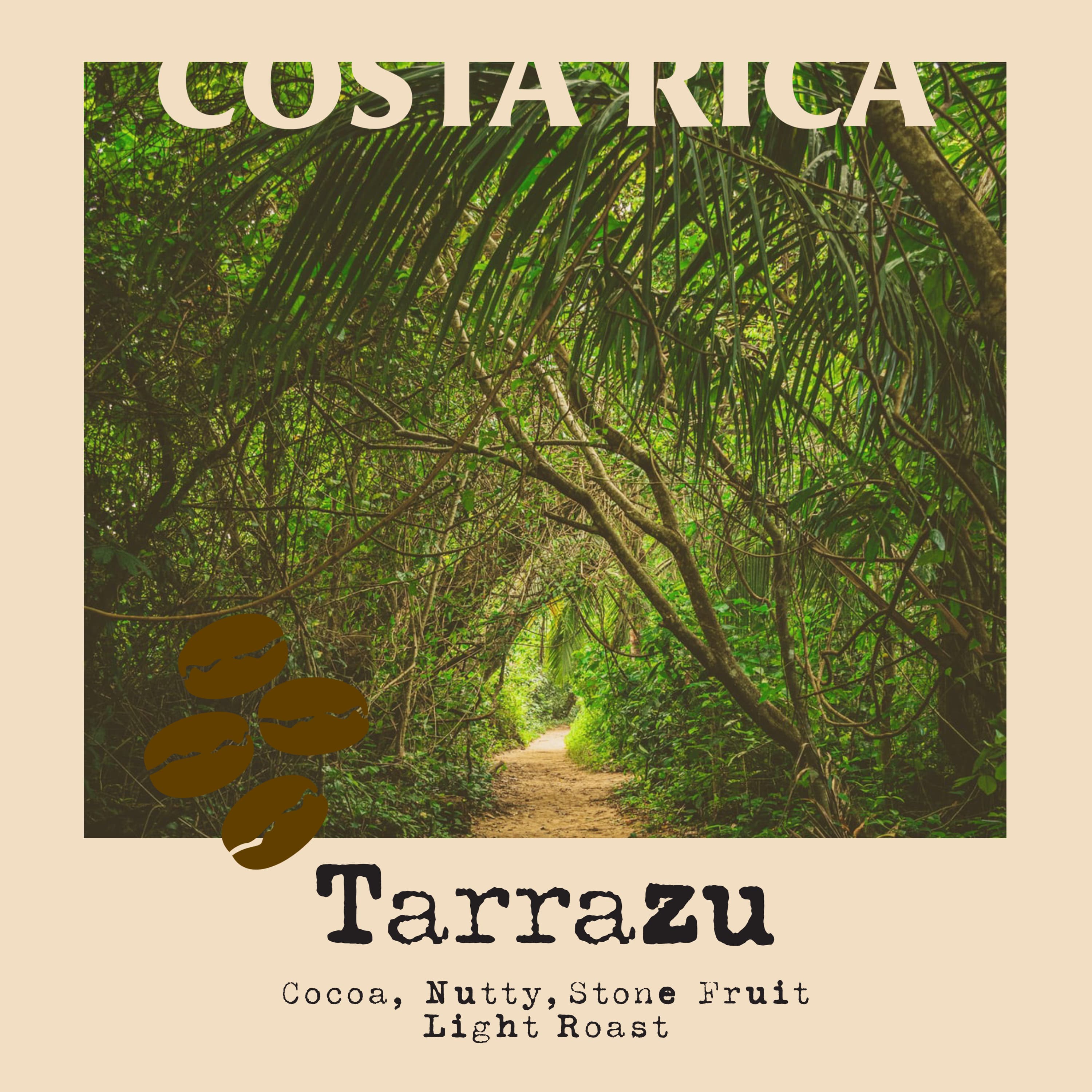 Costa Rica Tarrazu by Bohemian Roastery
