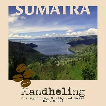 Sumatra Mandheling by Bohemian Roastery