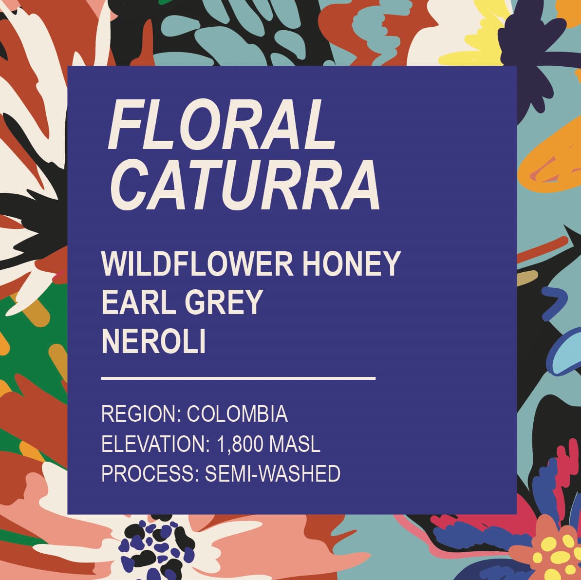 Andres Martinez - Floral Caturra by Aubade Coffee