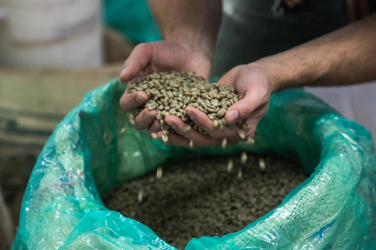 Waypost Coffee Roasters