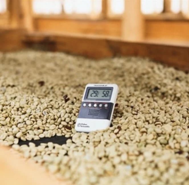 Guatemala Antigua Bella Vista (greenhouse dried) by S&W Craft Roasting