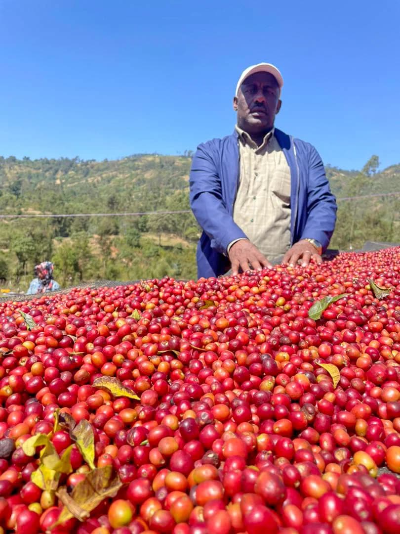 Ethiopia Mullugeta Muntasha Sidama Arbegona Natural by S&W Craft Roasting