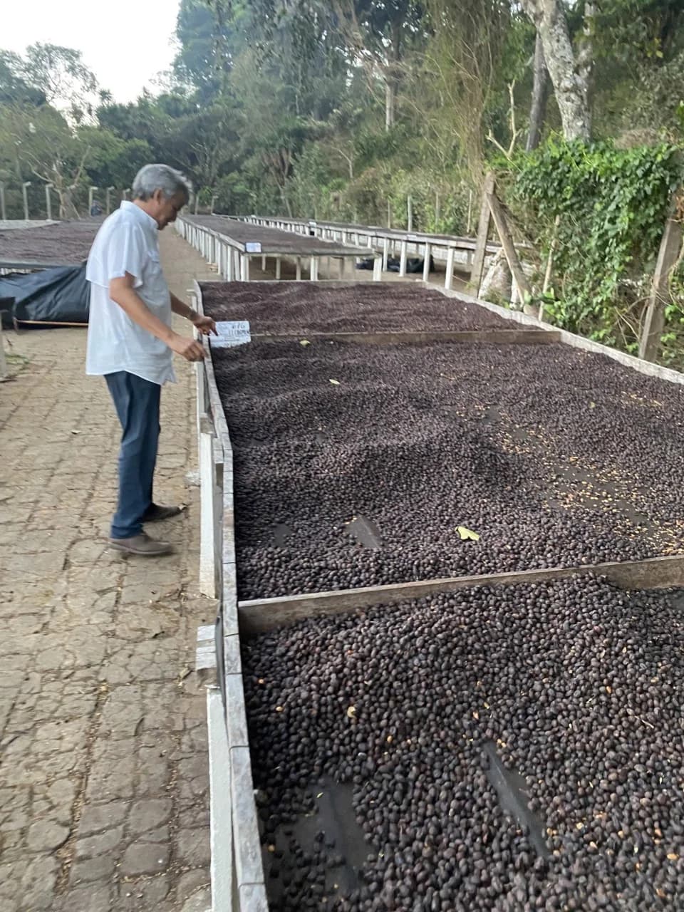 El Salvador El Gobiado Rainbow Bourbon Anaerobic Natural by S&W Craft Roasting