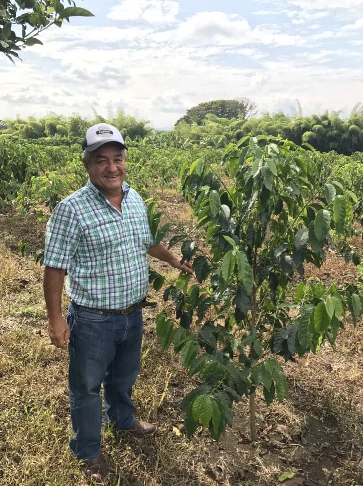 Colombia Popayan EA Decaf by S&W Craft Roasting