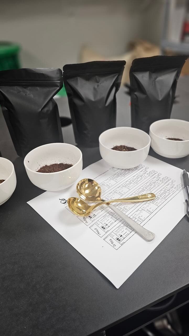 Bean Theory photo 4