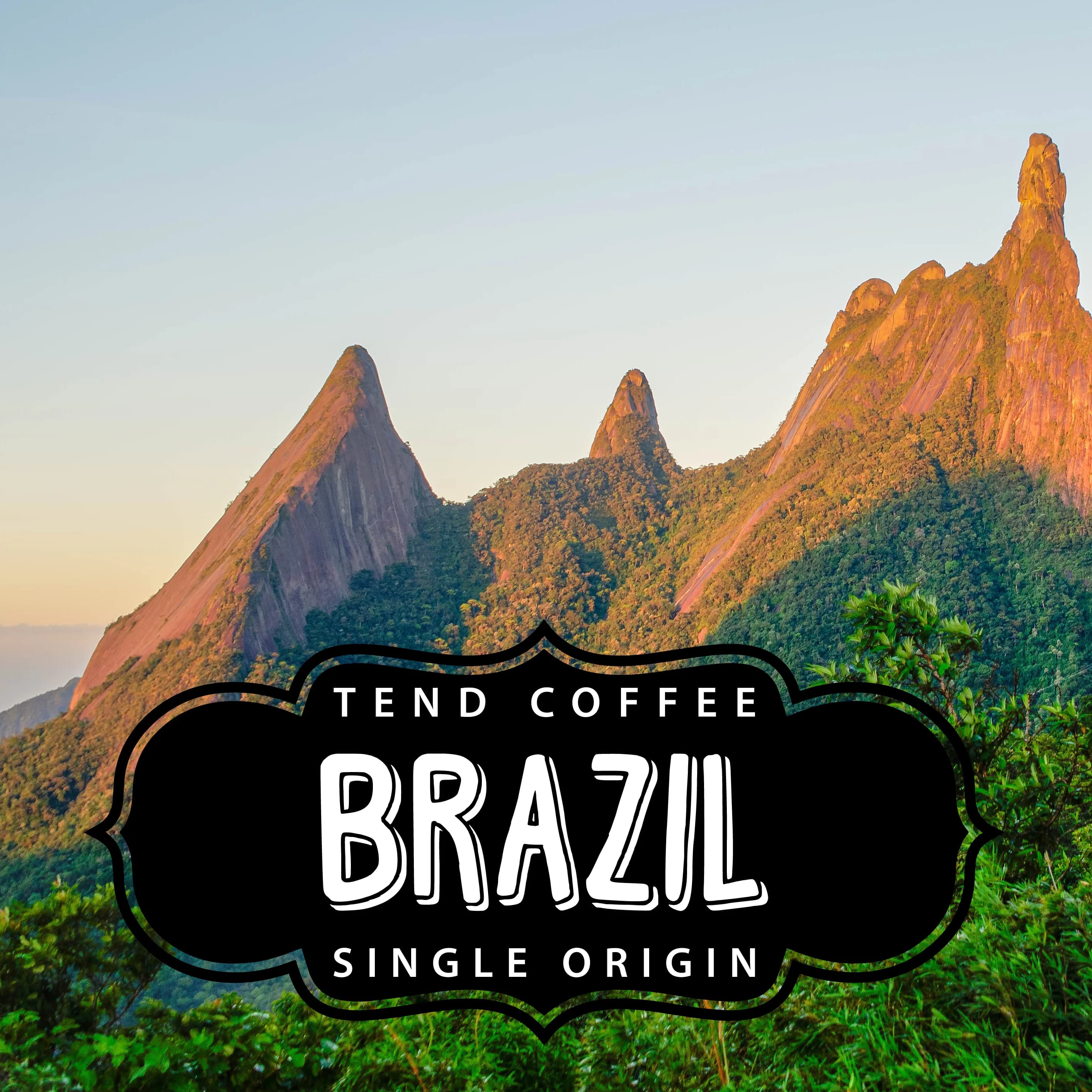 Organic Brazil, 1lb