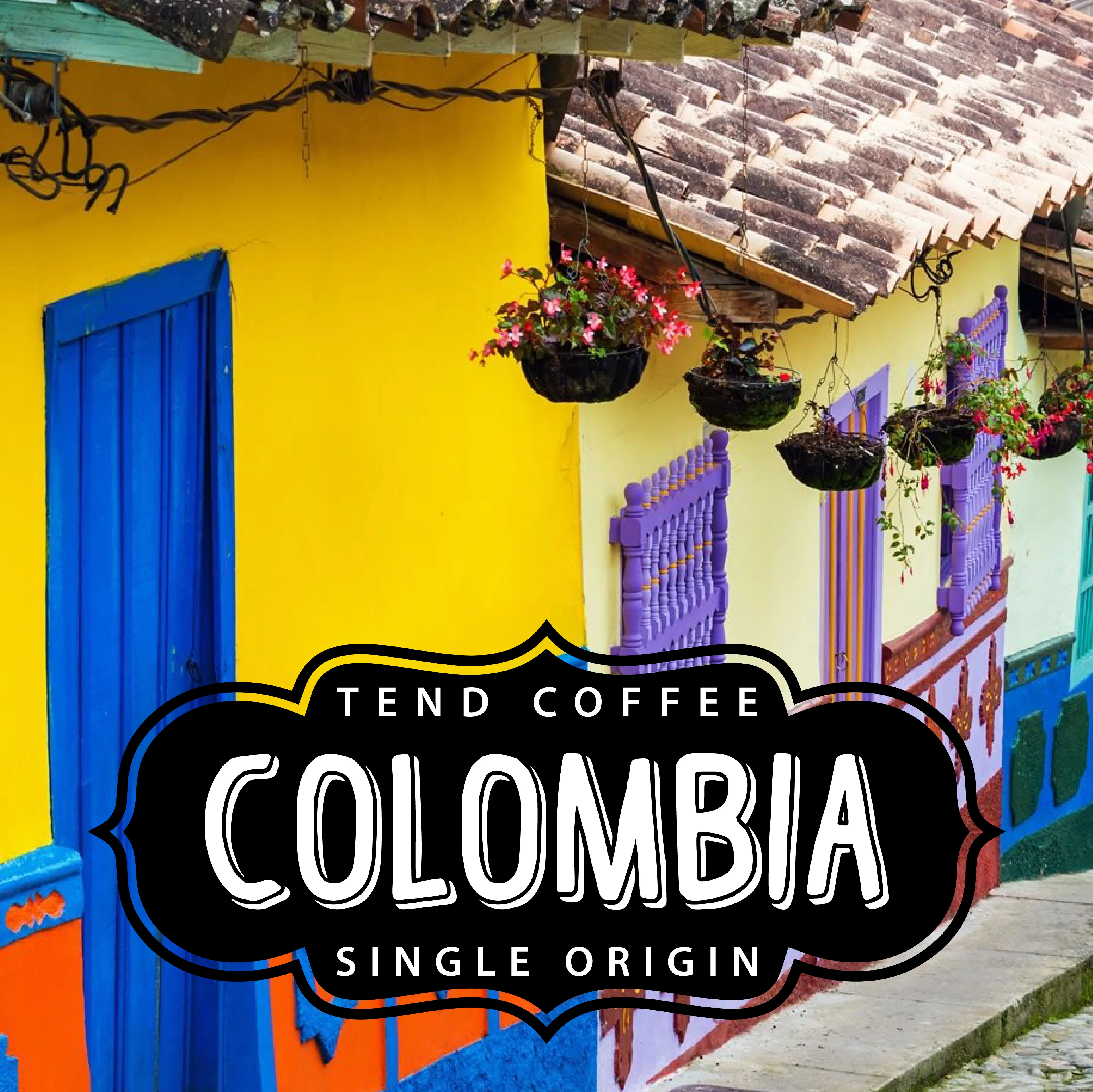Organic Colombia, 1lb