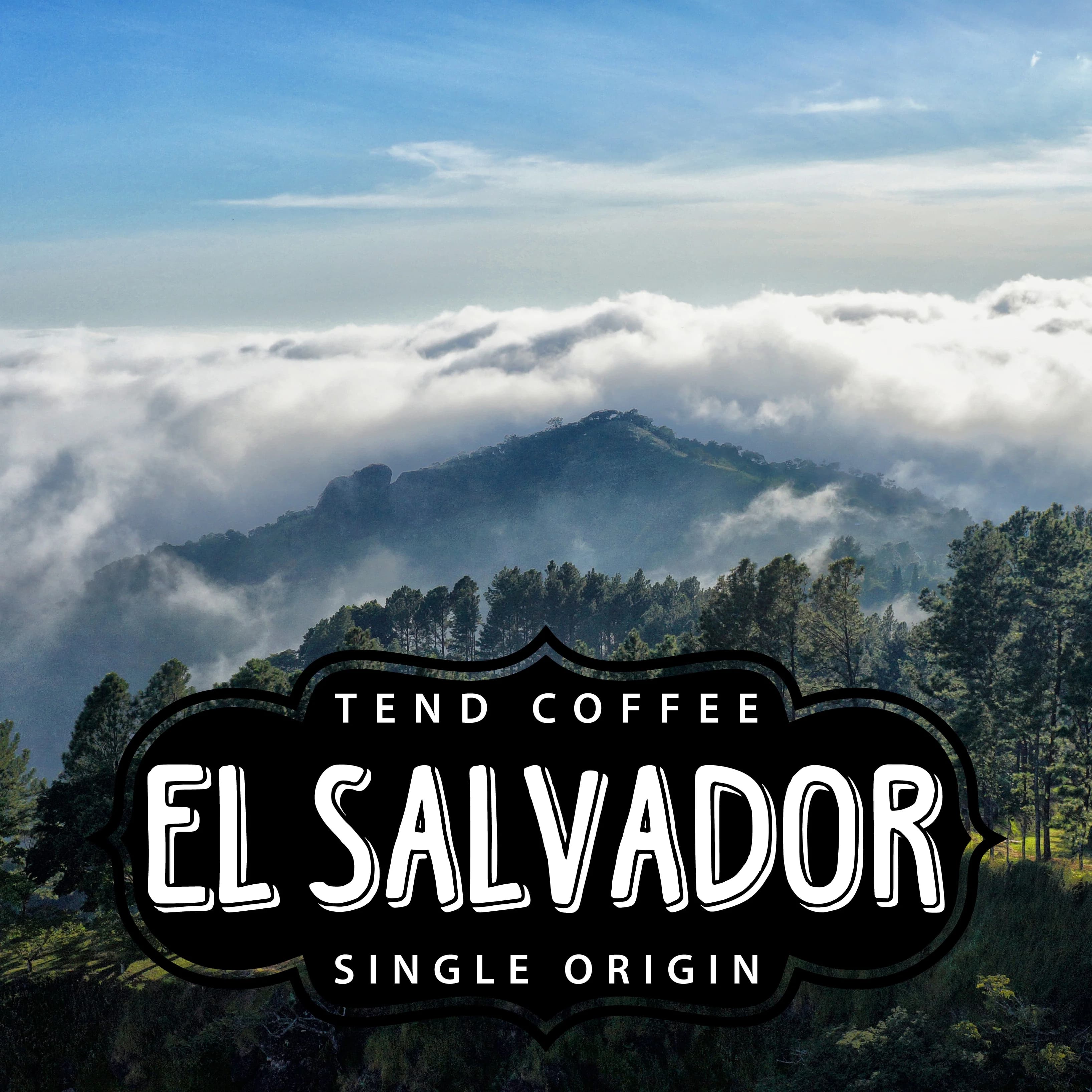 Organic El Salvador, 1lb