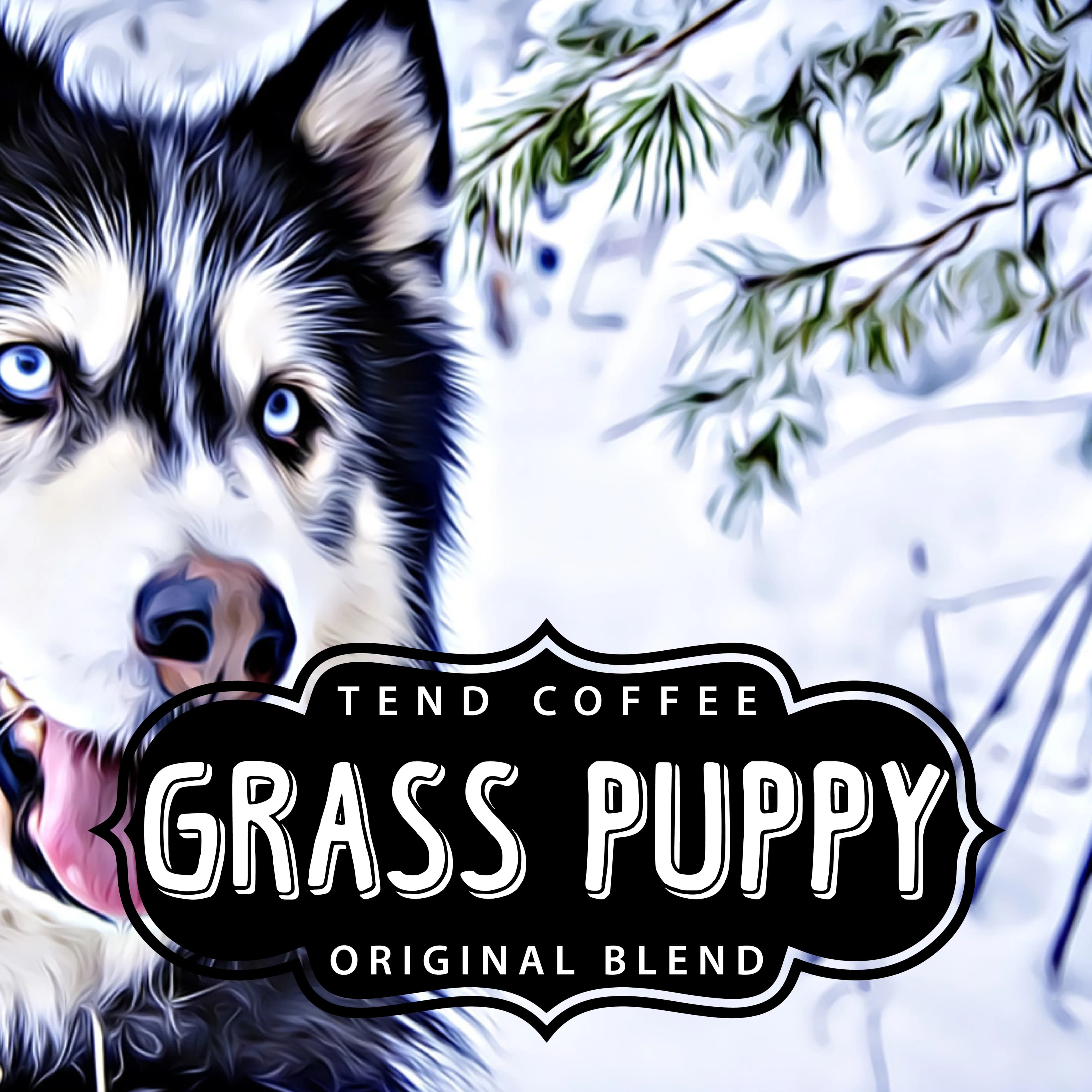 Organic Grass Puppy Blend by Tend Coffee
