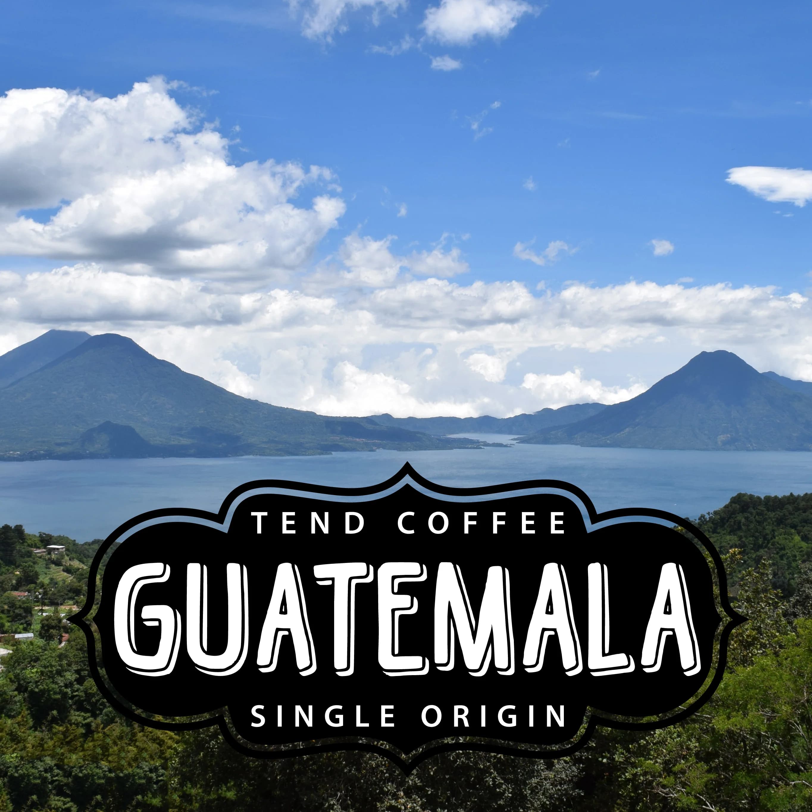 Organic Guatemala, 1lb