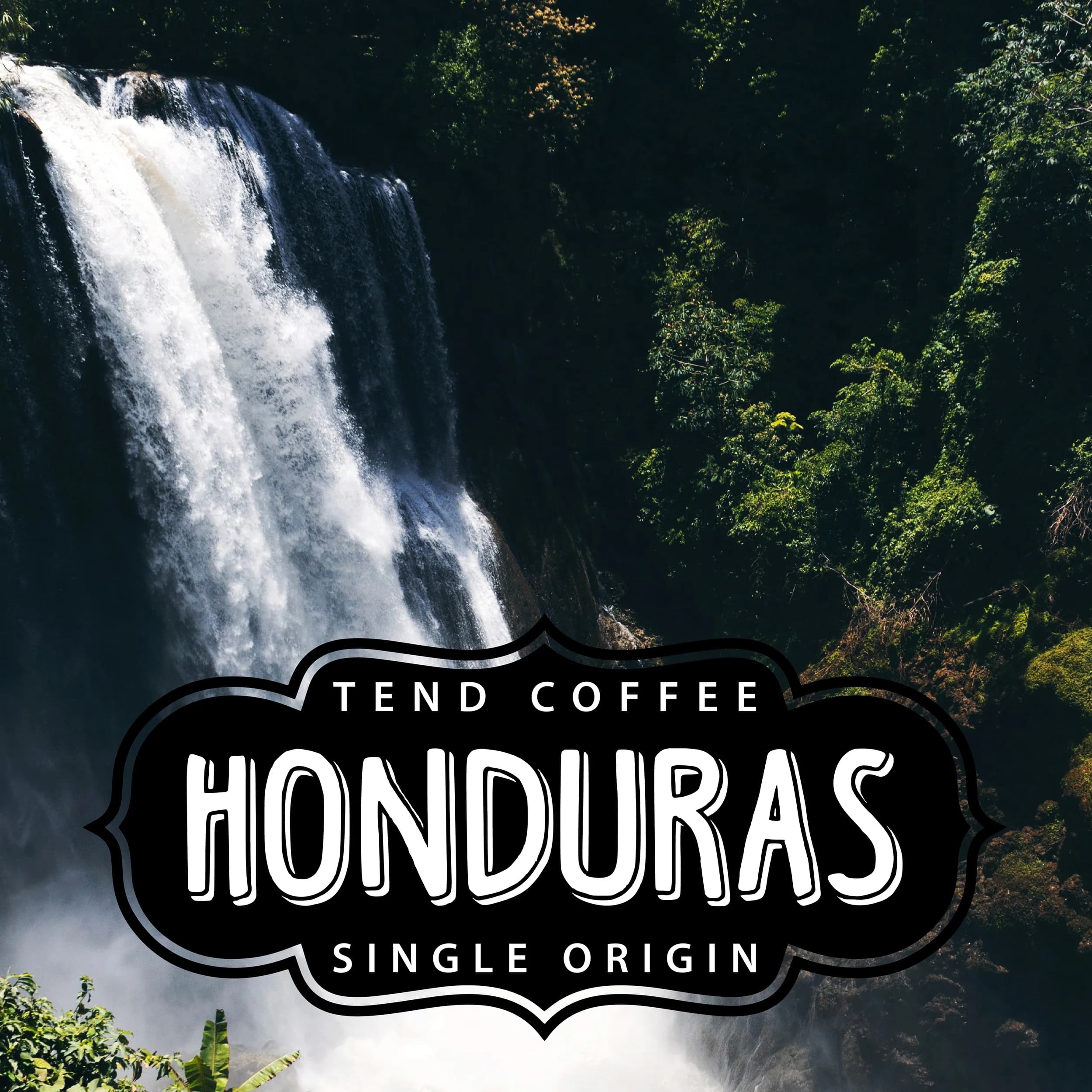Organic Honduras, 1lb