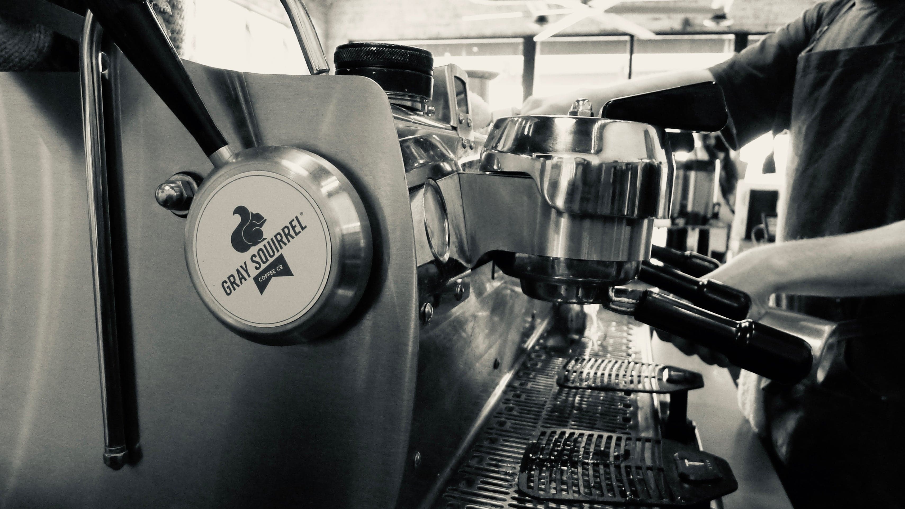 Gray Squirrel Coffee Company photo 3