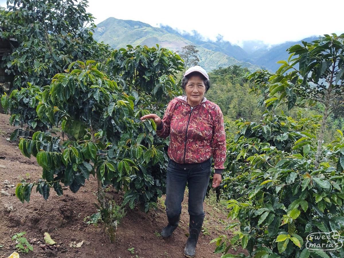 Colombia Honey Aponte Sonia Janamejoy