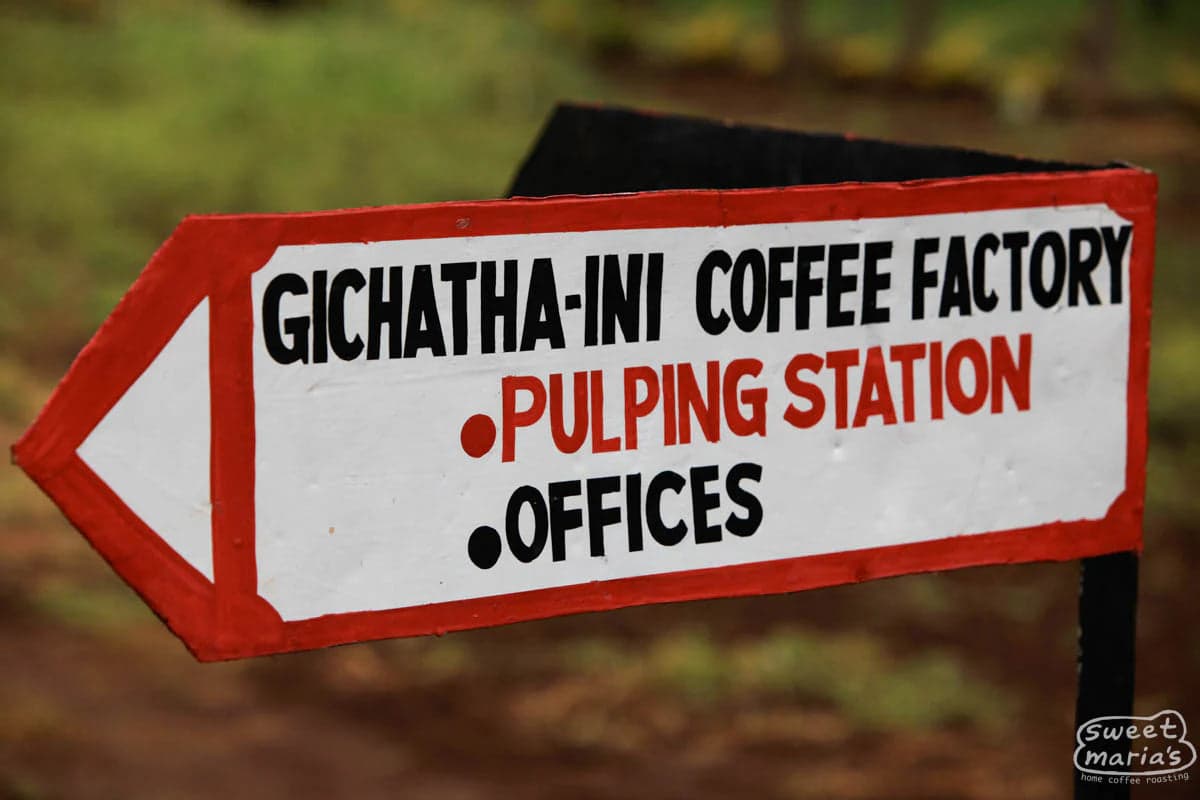 Kenya Nyeri Gichathaini AA