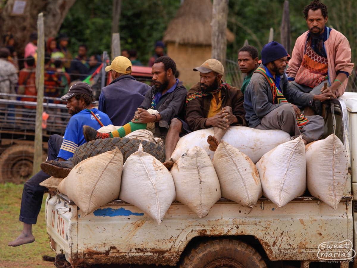 Papua New Guinea Goroka Organic SWP Decaf
