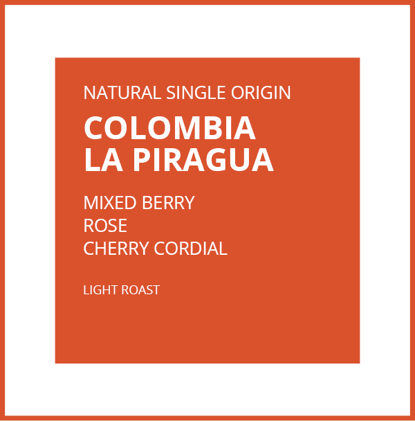 Colombia La Piragua