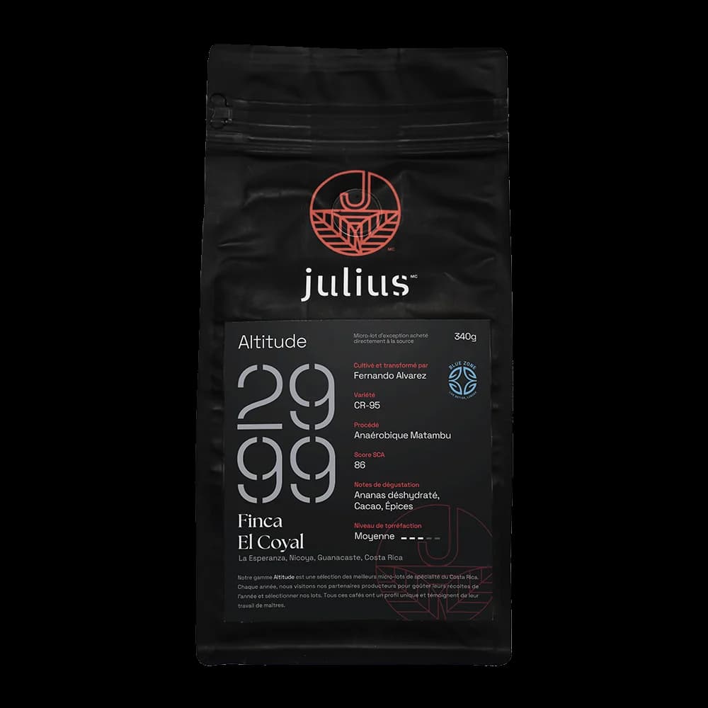 Alt. 2999 Anaerobic, Finca El Coyol by Julius Café
