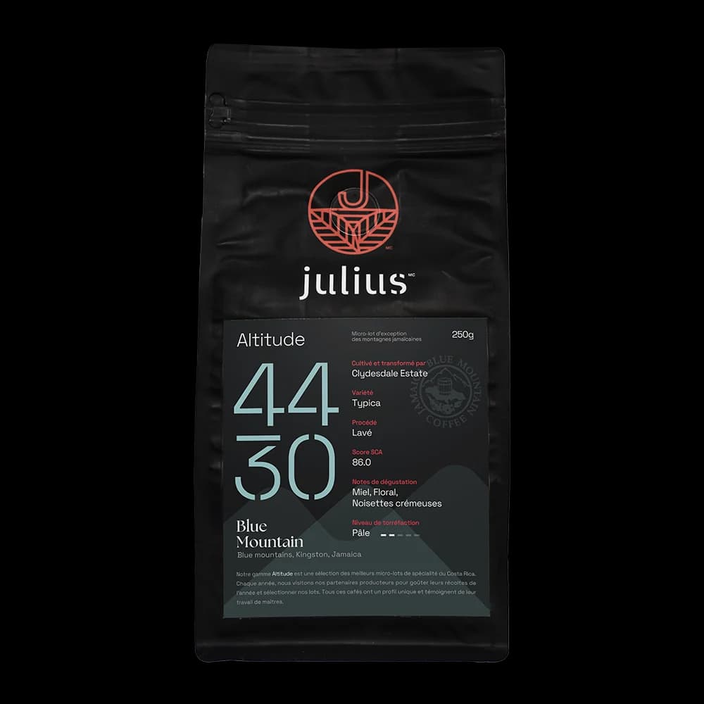 Alt. 4430 Washed, Blue Mountain by Julius Café