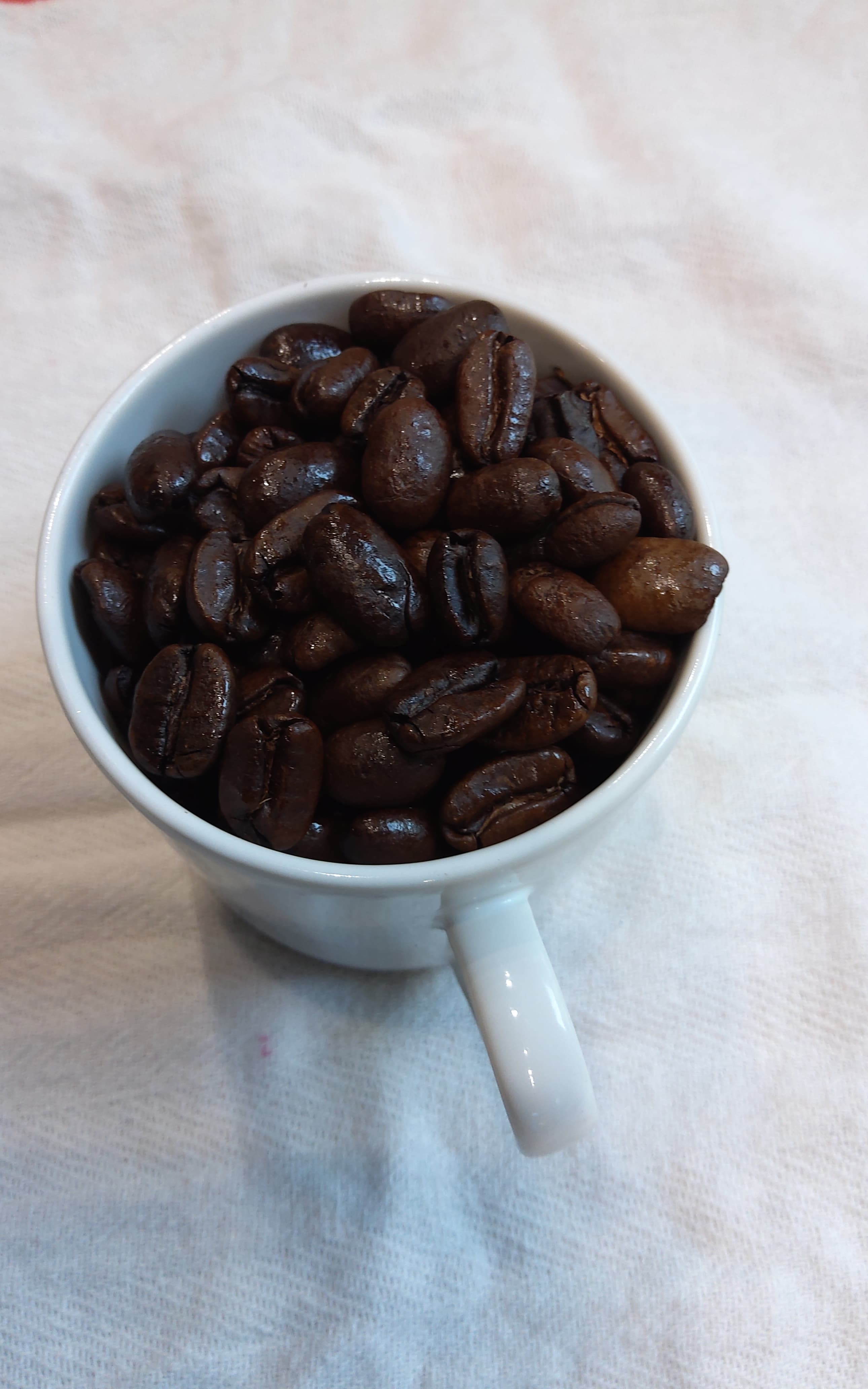 Nicaragua Organic