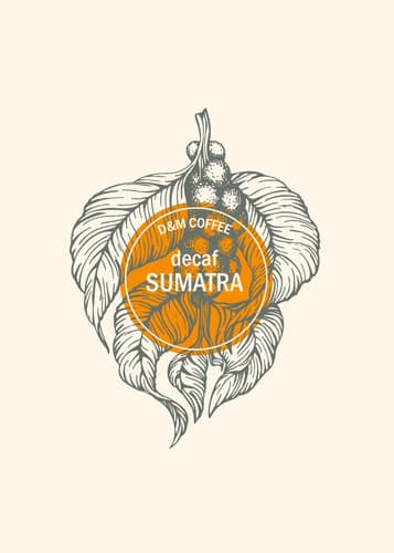 Decaf Sumatra