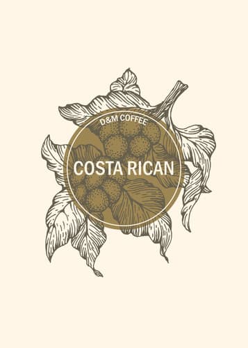 Costa Rican