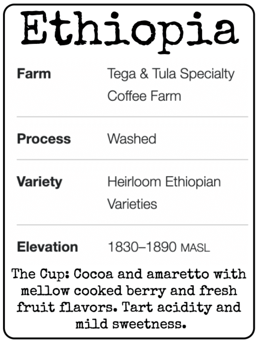 Ethiopia Washed by Red Light Roastery