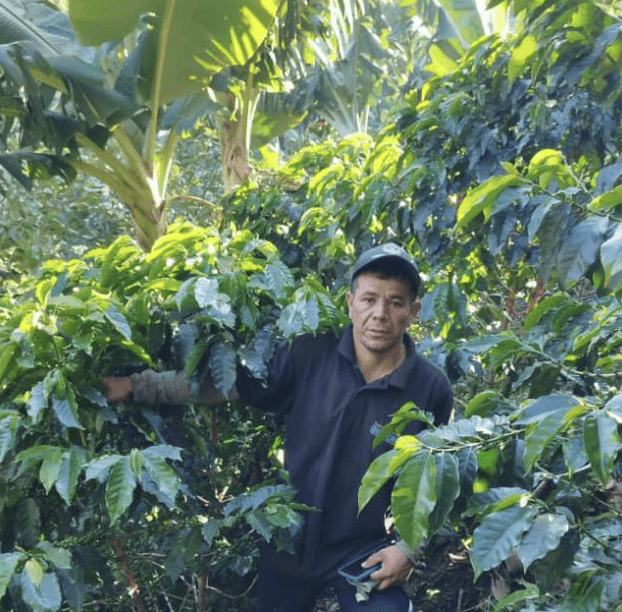 Colombia Jose Laurencio by Relevant Coffee