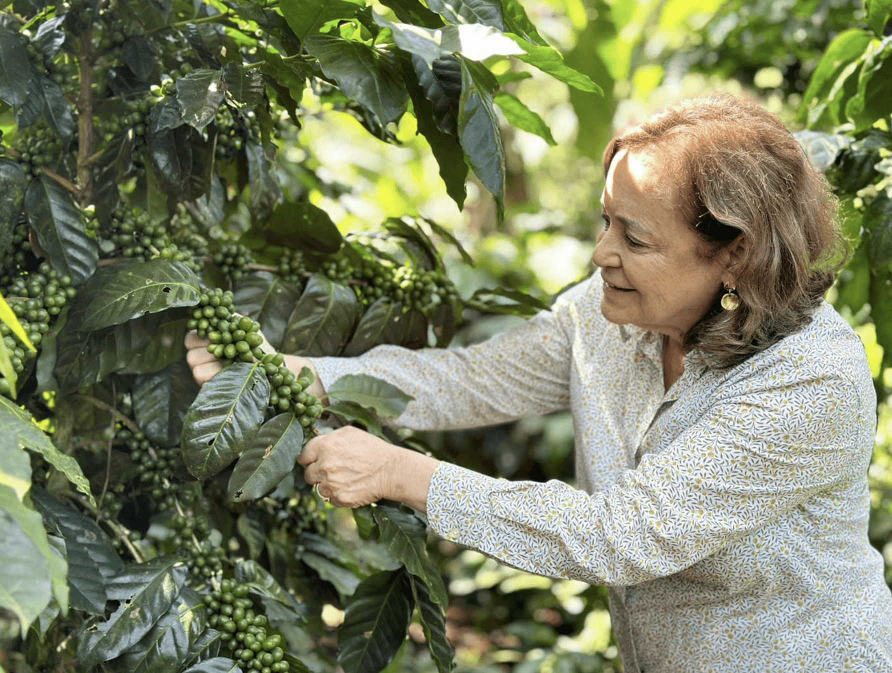 Nicaragua Marta Albir – Cup of Excellence by Relevant Coffee