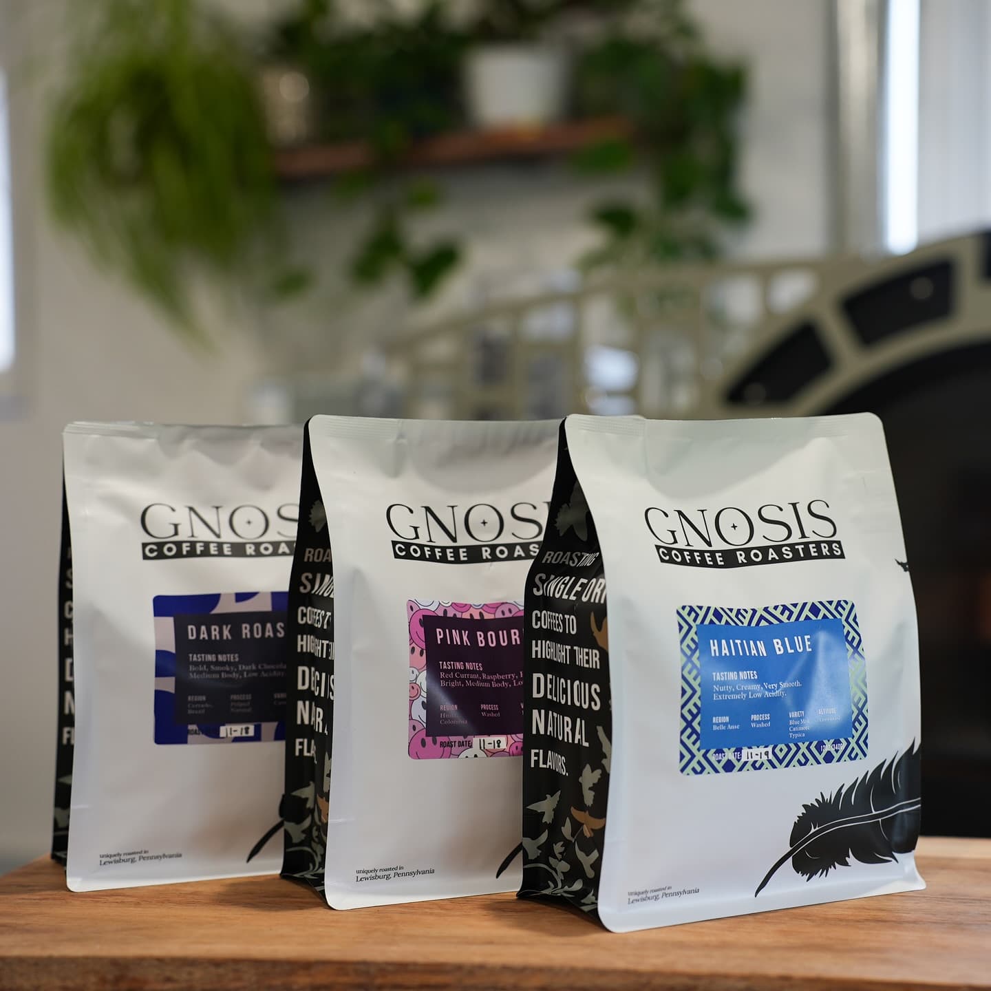 Gnosis Coffee Roasters photo 3