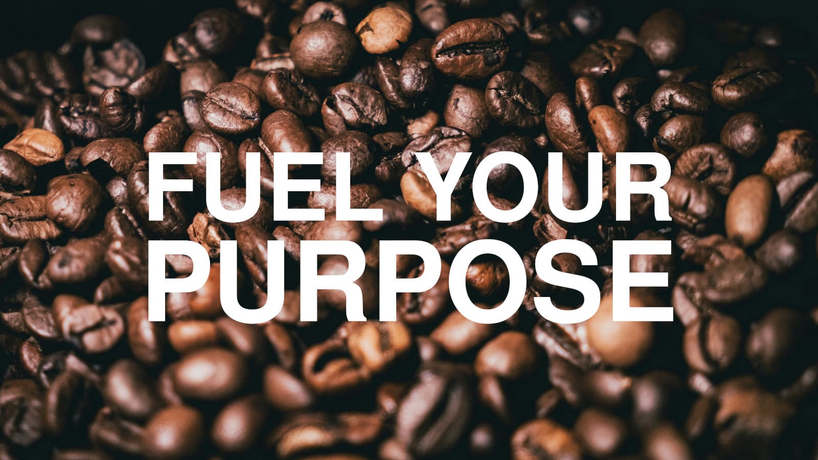 Neutron Coffee Roasters