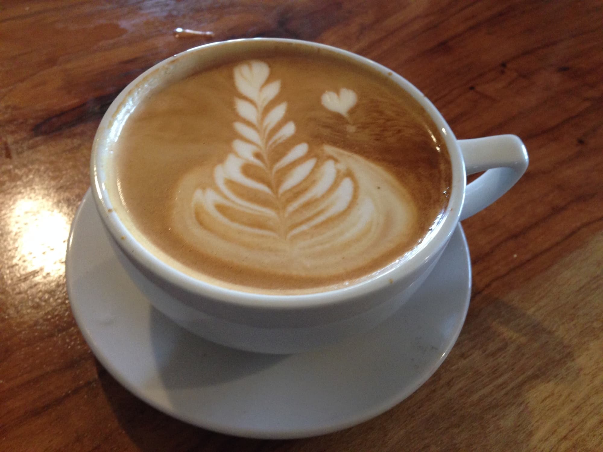Numinous Coffee Roasters photo 3