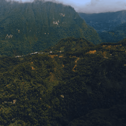 Mexico Chiapas Highlands, Washed
