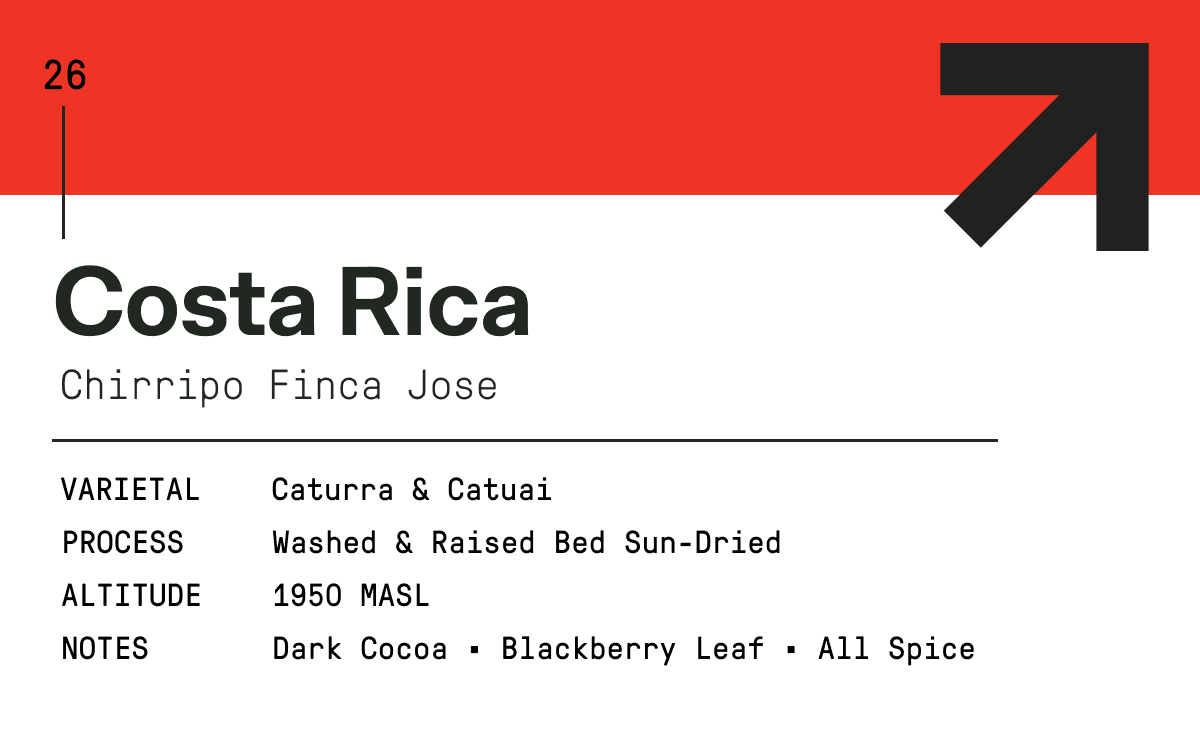 Costa Rica - Chirripo Finca Jose by tmrw coffee