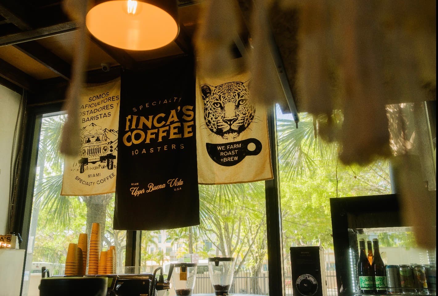 Finca's Coffee