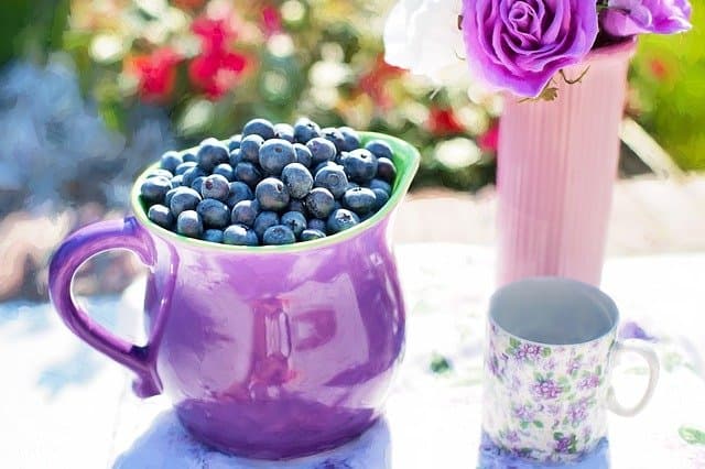 Blueberry Creme